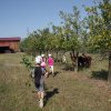 image044